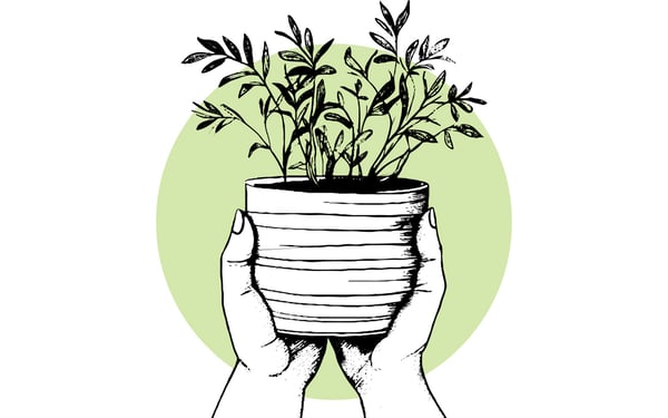 Sustainable marketing techniques to reuse and repurpose content - image of two hands on a plant pot with a thriving plant inside