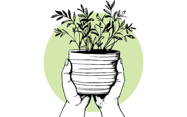 good vocabulary words for creative writing Sustainable marketing techniques to reuse and repurpose content - image of two hands on a plant pot with a thriving plant inside