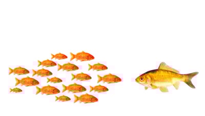 selling to multinationals