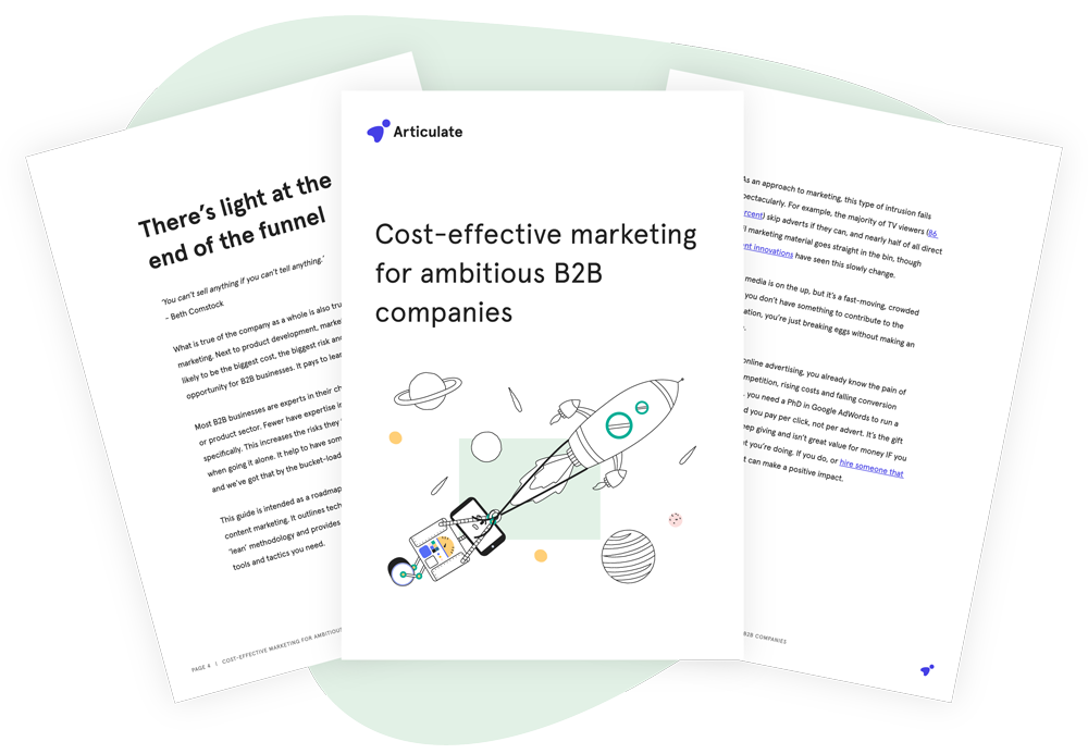 Cost-effective marketing for ambitious B2B companies
