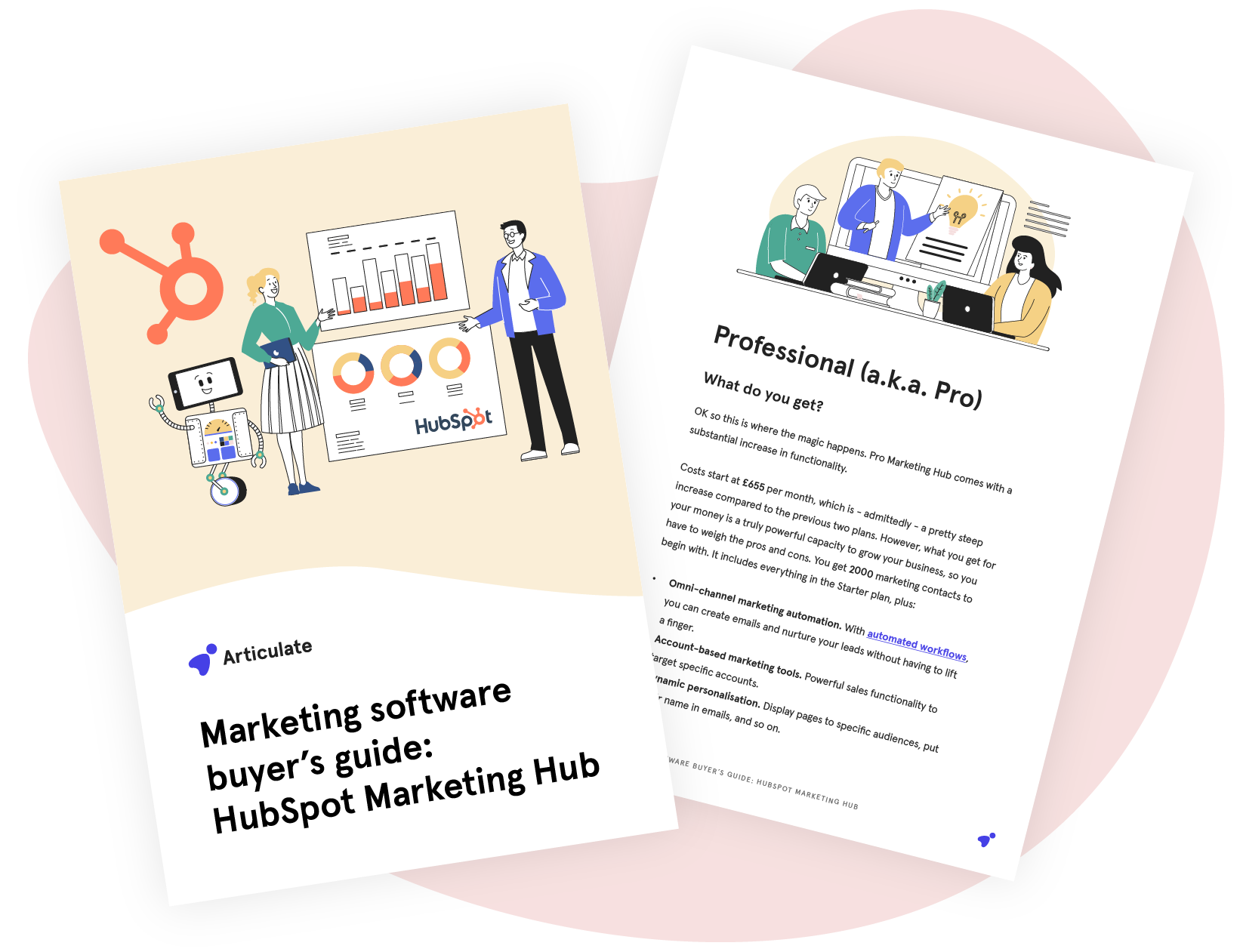 Marketing software buyer's guide: HubSpot Marketing Hub