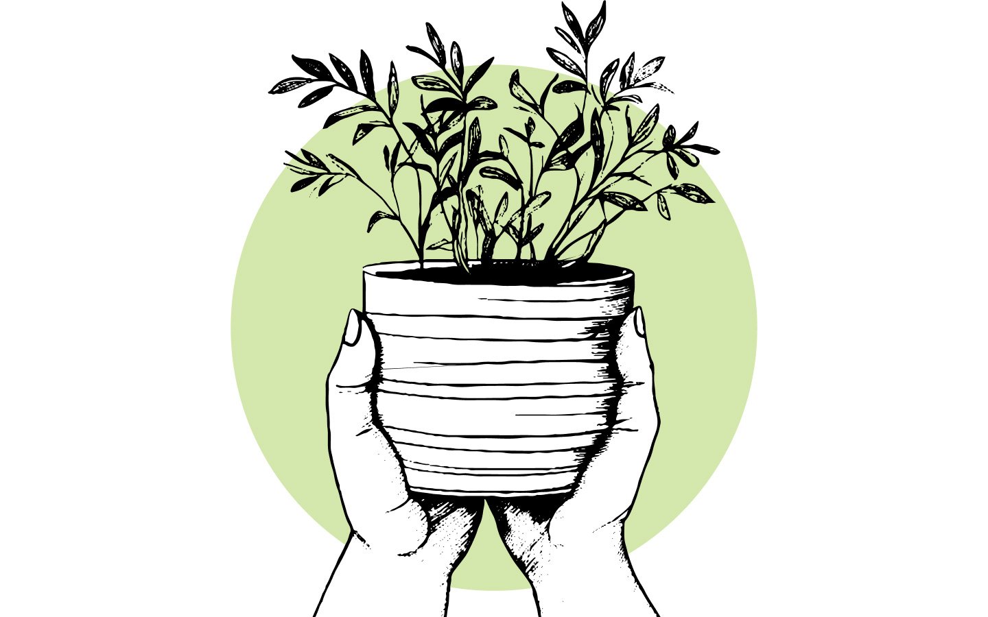 A pair of hands holding a plant pot