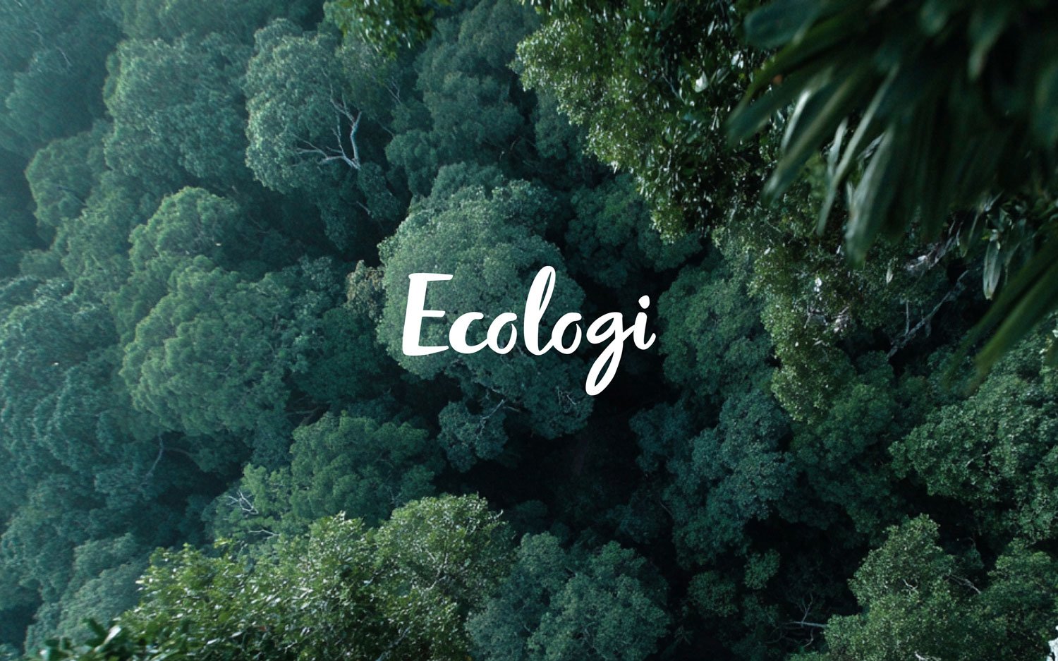 Ecologi_compressed
