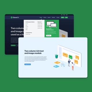 CloverDX Web Design