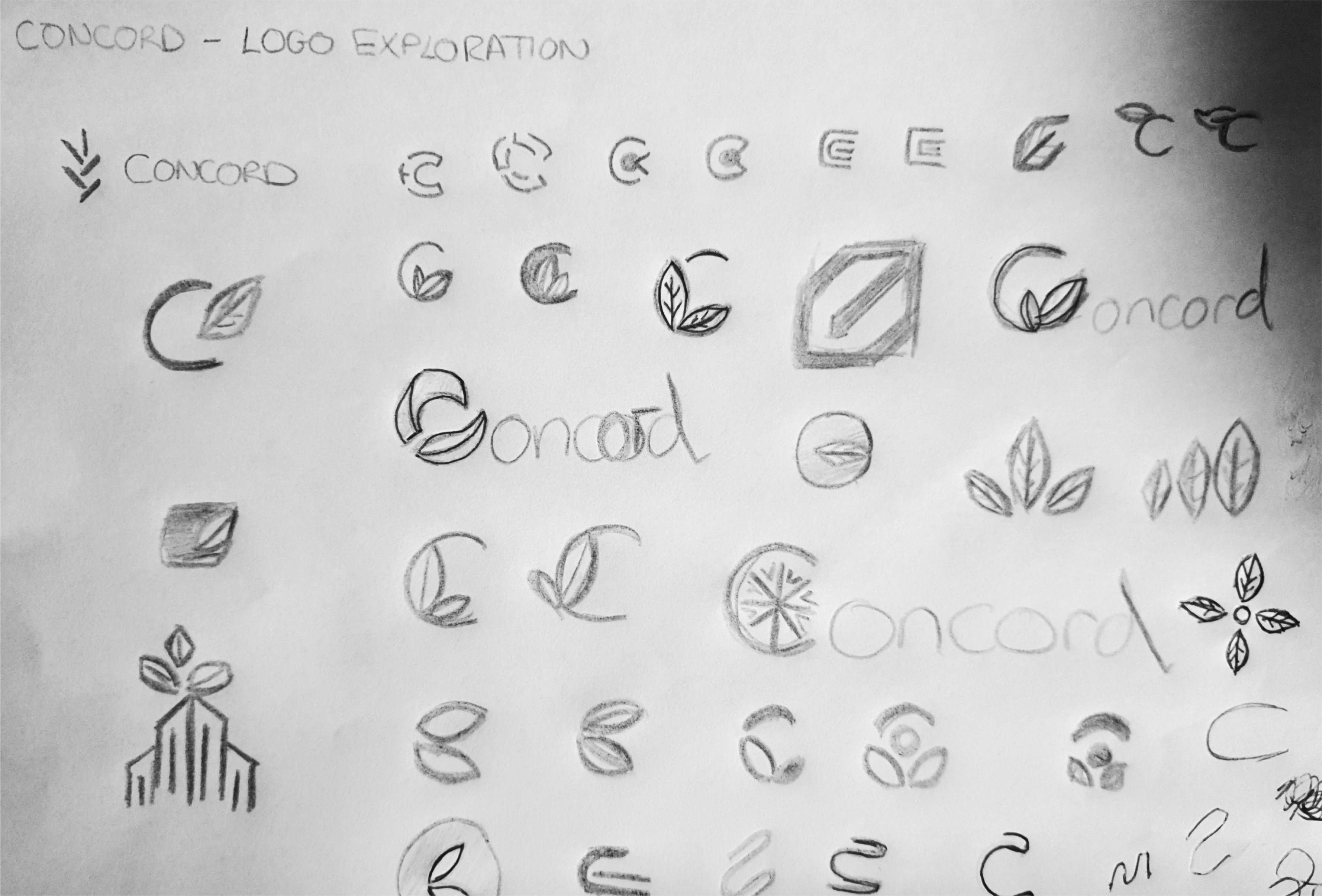 A scanned page of rough pencil sketches of a potential logo design. Many of the designs include leaf imagery.