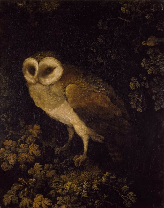 a painting of a wise owl