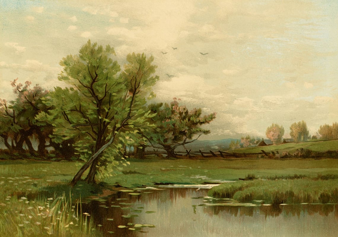 Painting of a river bank with a single tree on it and more trees in the background.