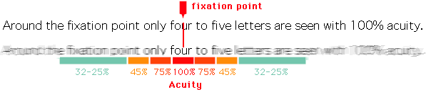 How much we take in with each eye fixation How much we take in with each eye fixation