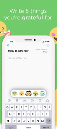 My Gratitude Journal interface My Gratitude Journal interface