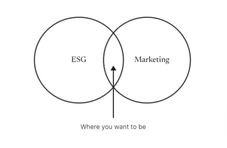 ESG strategy integrate with marketing strategy venn diagram