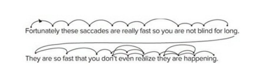How people read showing saccades and eye movements How people read showing saccades and eye movements