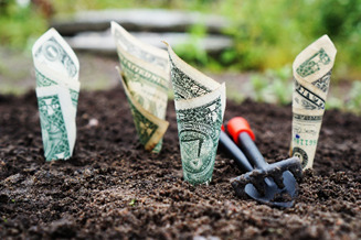 How we work: our writing manifesto How we work: our writing manifesto burning money